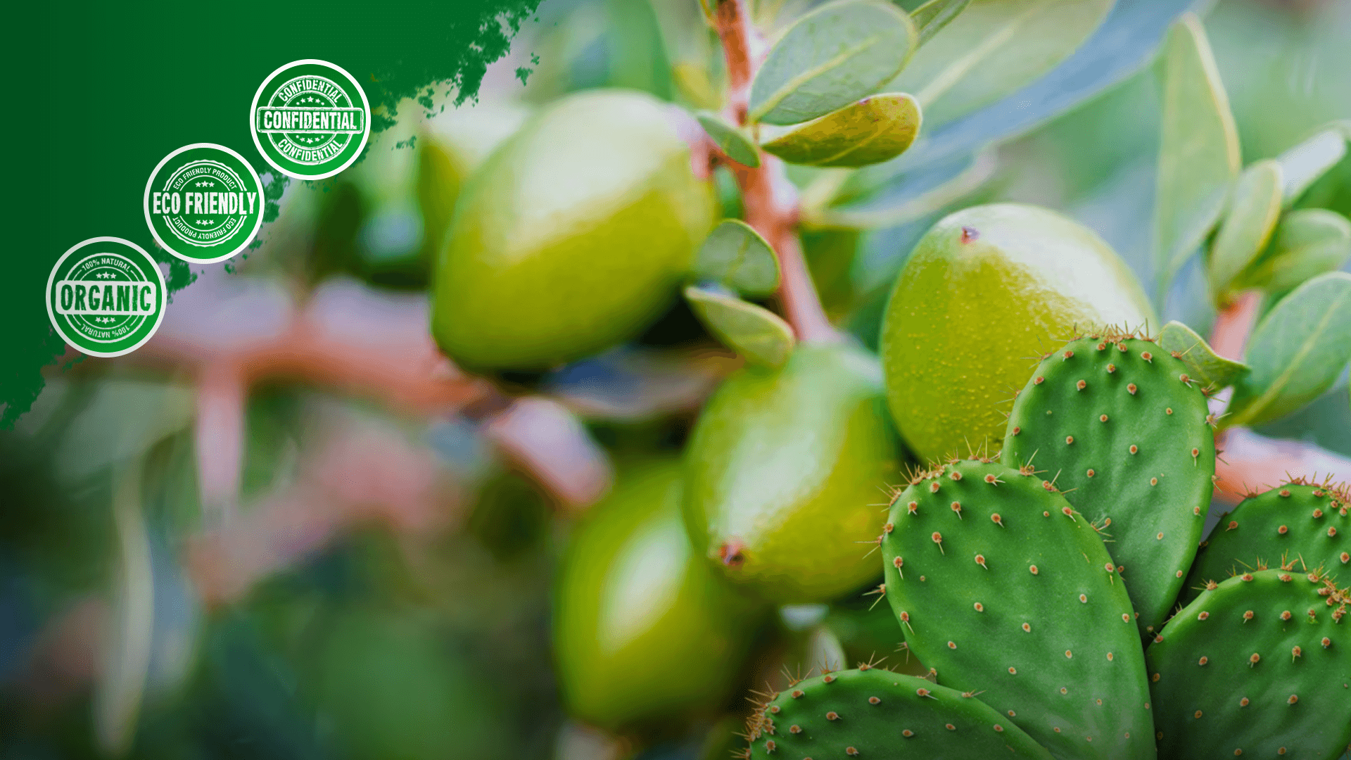 Moroccan Beauty Products Wholesale Supplier Cosmetics Products Private Label