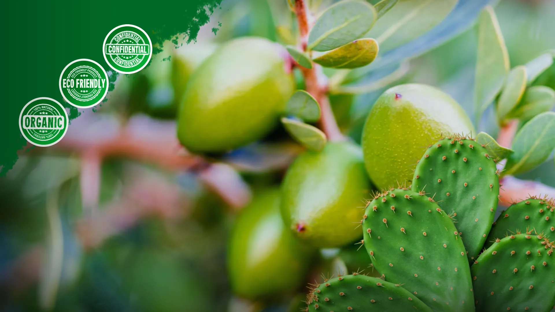 Moroccan Beauty Products Wholesale Supplier Cosmetics Products Private Label